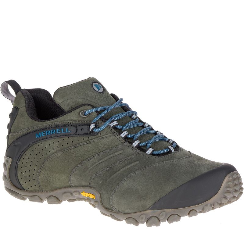 chameleon ii leather