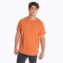 Polera Hombre Back Print
