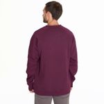 Poleron-Hombre-Sweatshirt-Raglan-Sleeve