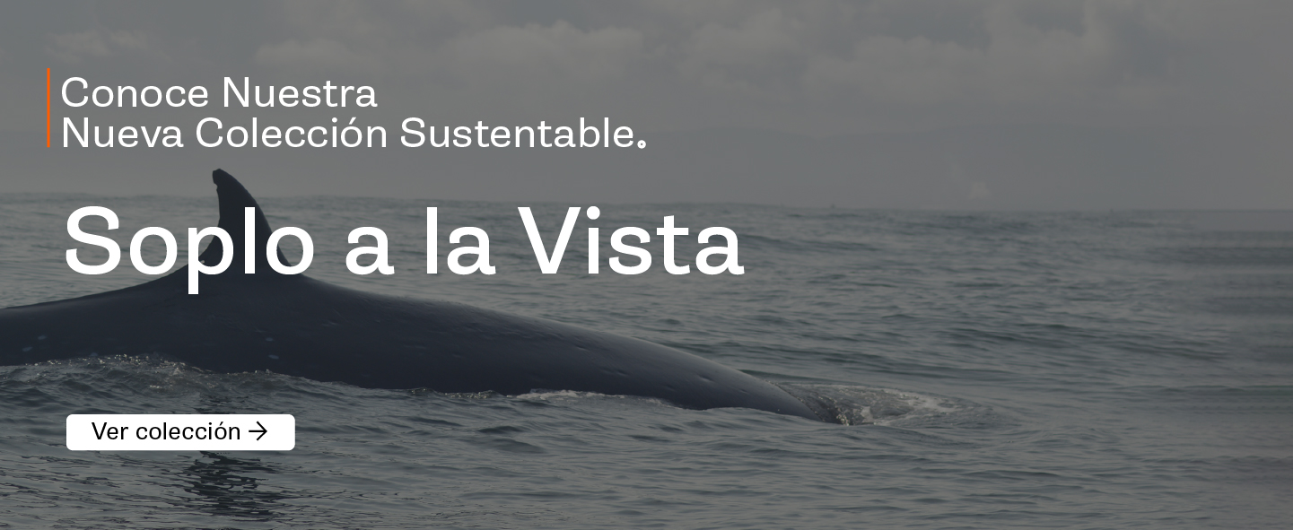 ven a explorar esta nueva ruta