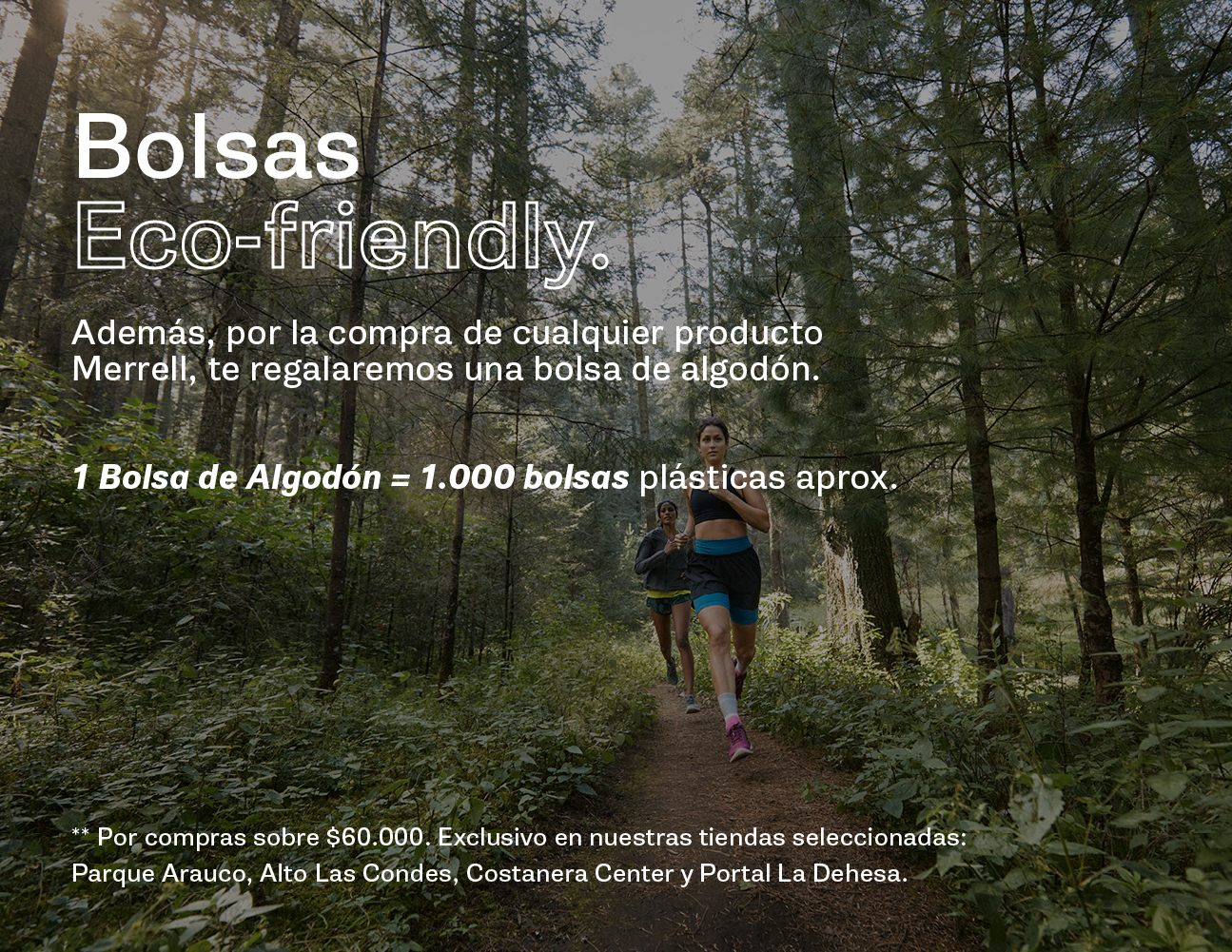 contenido5